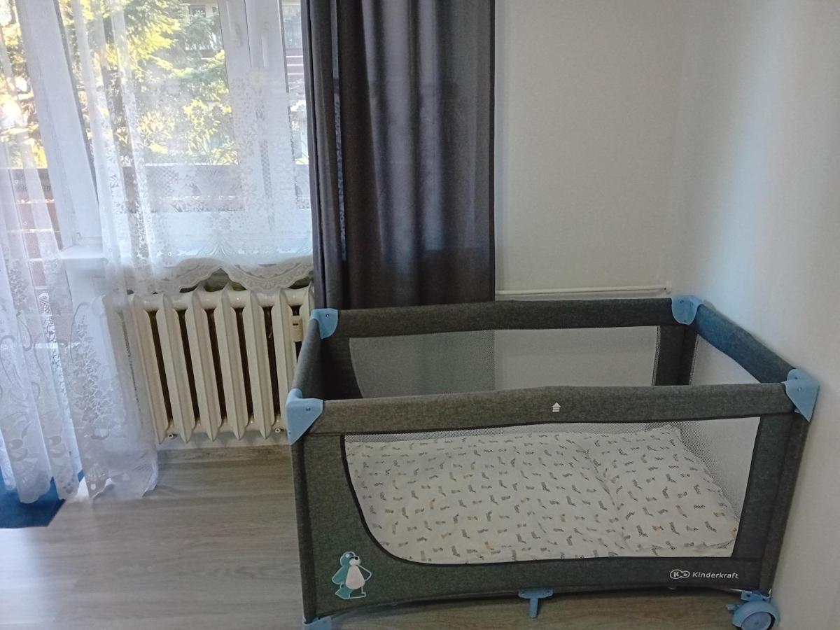 Apartament Rodzinny Zakopane Buitenkant foto